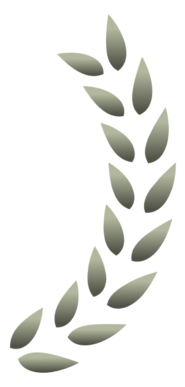 Image link